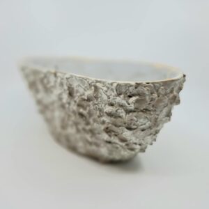 Kauss või lillepott